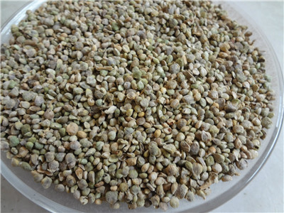 菠菜子的禁忌人群有哪些 带你了解菠菜子