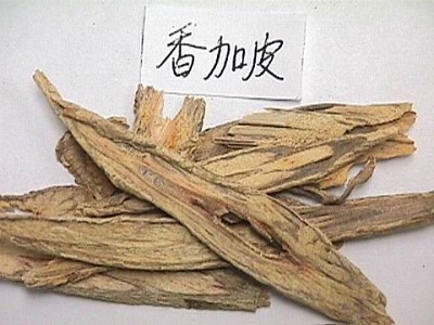 五加皮和香加皮的区别 教你几招轻松鉴别中草药