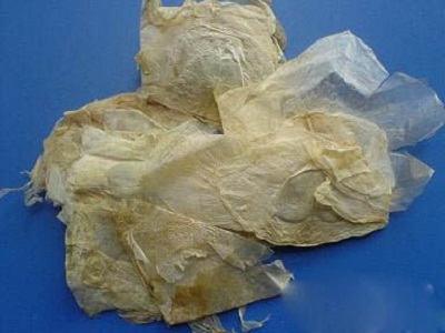 木蝴蝶泡水的功效 您不知道的那些惊人功效
