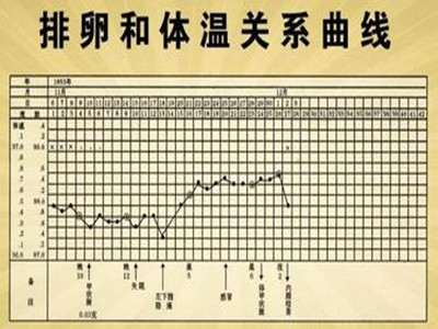 排卵期基础体温的变化了解自己的身体