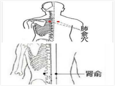 2,找到肺俞穴,按揉肺俞穴2-3分钟.3,沿着脊柱督脉从上之下捏15-20遍.