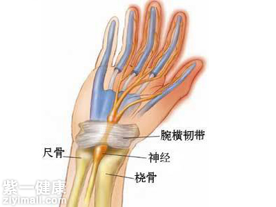 长期的使用鼠标,我们的手指或是腕关节会出现酸麻的症状的,活动的