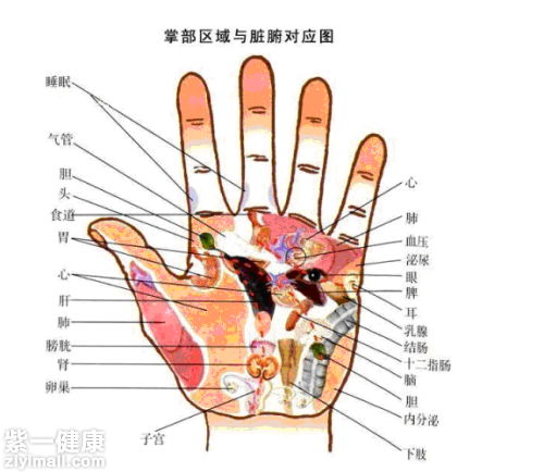 看手相能知道什么 八种手相诊断疾病知寿命