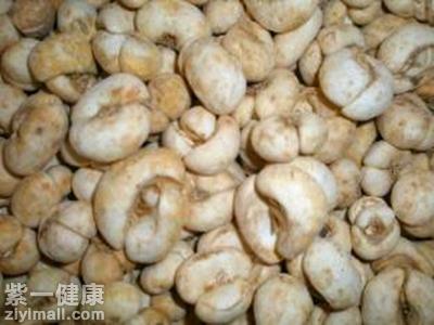 贝母是什么 盘点贝母的功效,作用以及食用方法