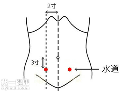 水道穴位位置图详解水道穴的神奇作用