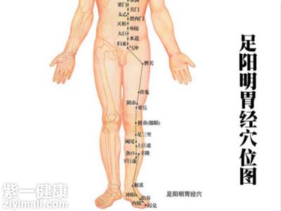 手少阳三焦经在哪