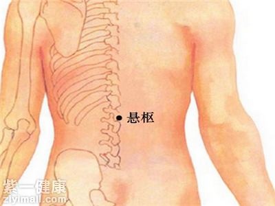 悬枢穴位位置图可以跟哪些穴位搭配治疗病症