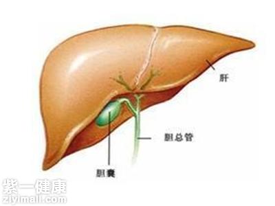 胆囊息肉严重吗 教你如何正确对待胆囊息肉