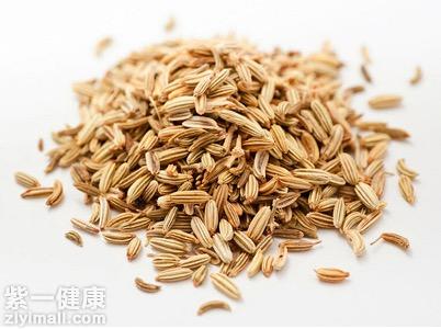 秋季吃点小茴香能补肾壮阳吗 详解小茴香的功效和作用