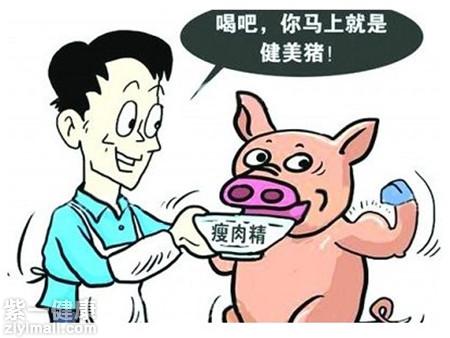 瘦肉精有什么危害教你辨别瘦肉精猪肉