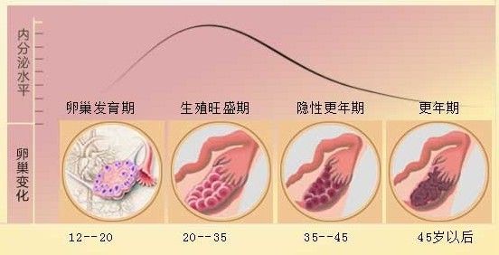 卵巢功能早衰的特点是卵巢对正常的促性腺激素不能做出正常反应,出现