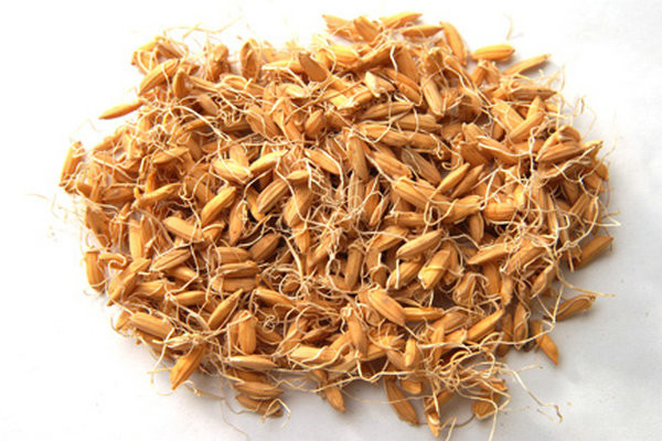 谷芽的功效与作用_谷芽与麦芽的区别_谷芽的副作用