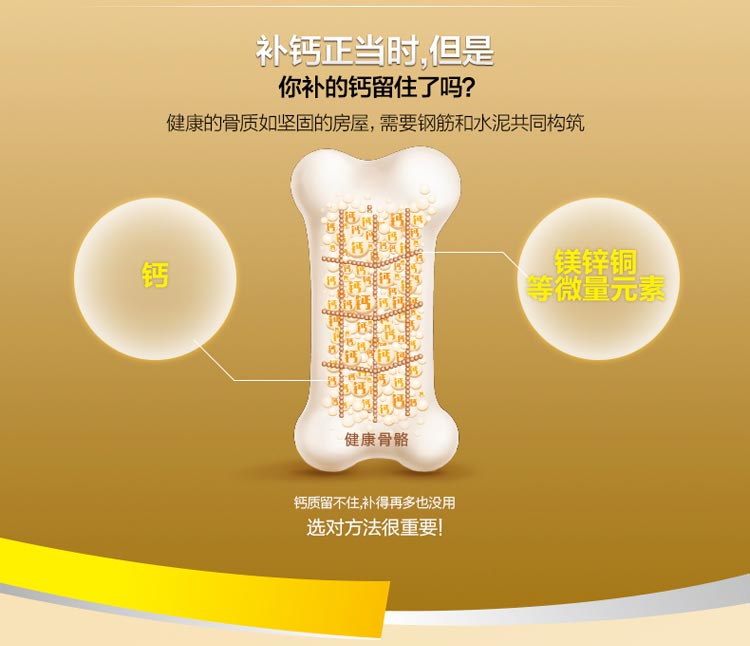 健康骨骼的组成