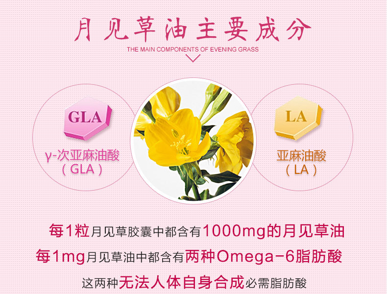 澳佳宝月见草主要成分