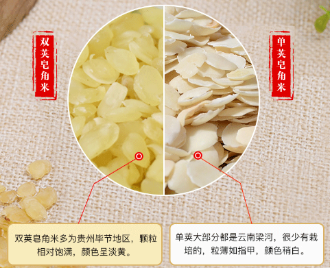 双荚皂角米和单荚皂角米对比