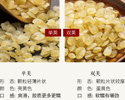 单荚皂角米和双荚皂角米区别