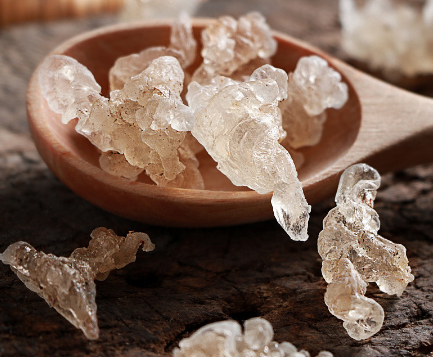 雪燕與血燕的差別一、概念差異