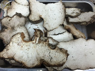 茯神的副作用 使用茯神的禁忌