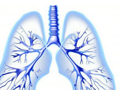 川贝炖雪梨的功效有哪些 分享清肺饮品的医疗功效