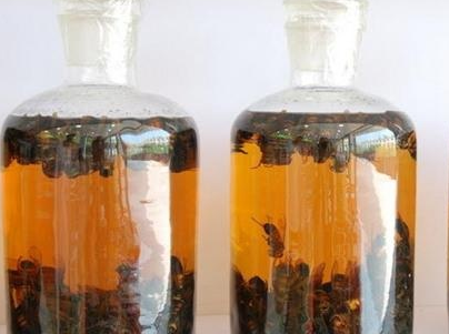 桑螵蛸泡酒的方法是什么 教你桑螵蛸的酒制方法