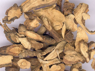 警惕鬼针草的副作用 使用中草药很有讲究