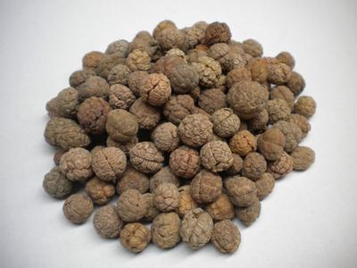 草豆蔻与白豆蔻的区别 可从三方面区别