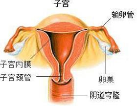输卵管堵塞的症状有哪些 该如何治疗