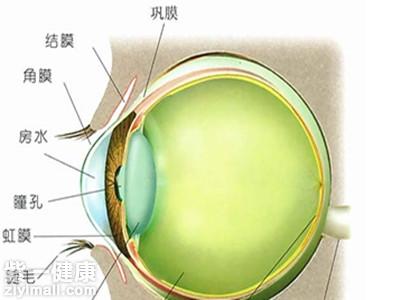 散瞳後注意事項有哪些解析四大關鍵點