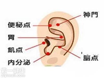 耳朵减肥穴位图 找准四个点即可帮助减肥