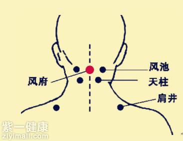 风府穴位位置图 教你找到人体风府穴的正确位置_紫一商城