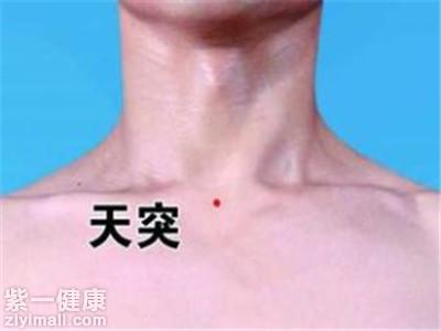 天突穴位位置图 如何找到天突穴_紫一商城