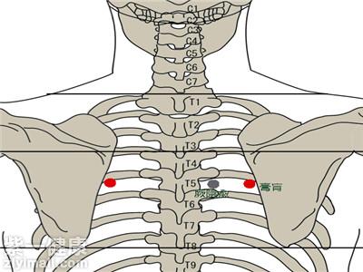 膏肓穴每天都痛是怎么回事老中医告诉你背后罪魁祸首