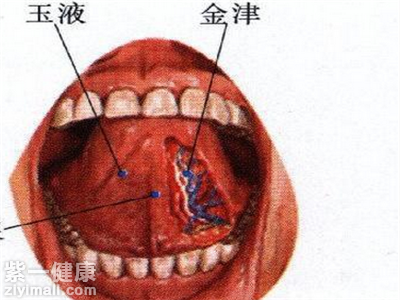 金津穴位位置图金津穴的功效是什么