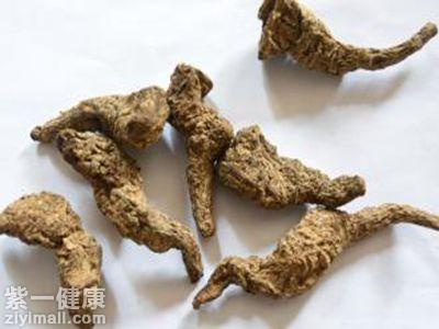 正文 最为受到欢迎的一种生津解渴的中药材就是生地玄黄,生地玄
