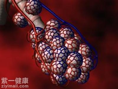 肺泡是什么病 专家解析什么是肺泡以及有哪些症状