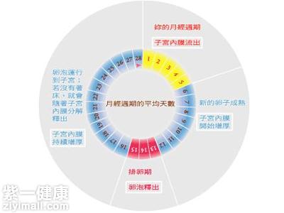 女性月经周期一般是多少天