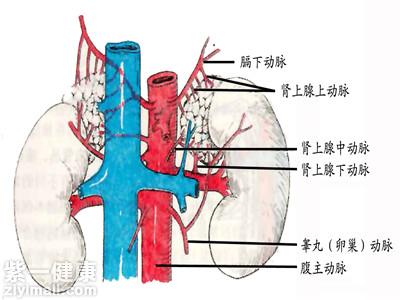 春吧