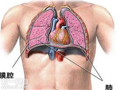 气胸症状_气胸是怎么引起的_【小窍门】气胸怎么治疗_气胸患者应注意