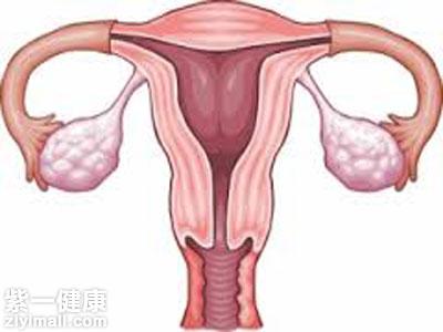 卵巢萎缩有什么症状 盘点卵巢萎缩的四大症状