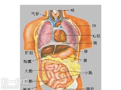五脏六腑指的是什么 五脏六字养生法