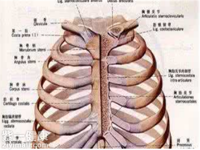 软骨炎一般发生在肋部,这个位置对身体健康的影响比较大,所以患者