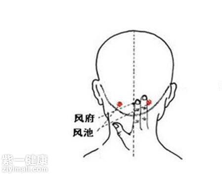 艾艾貼感冒貼哪里圖解