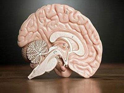 小脑萎缩的症状有哪些为你揭秘小脑萎缩的具体症状