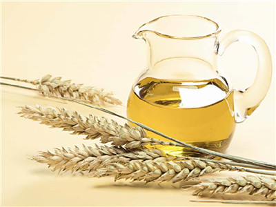 小麦胚芽油哪个牌子最好 揭晓小麦胚芽油的功效作用