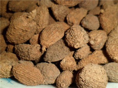 中药砂仁为什么要后下什么时候下最好