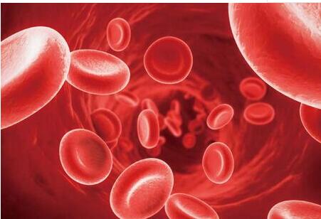 贫血是什么原因造成的 权威专家告诉你造成贫血5大原因