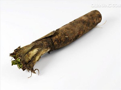 菊苣根哪些人不能吃 盲目服用菊苣根可能带来哪些后果