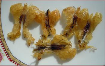 雪蛤干的功效与作用 揭秘适合吃雪蛤的四种人群