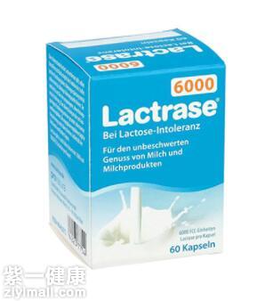 Lactrase乳糖酶的说明书 它值得入手吗
