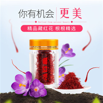 藏红花是治什么的 详解藏红花的四大功效